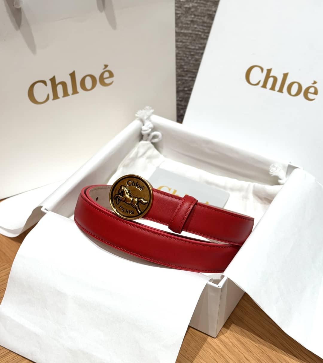 Chloè Belt-022